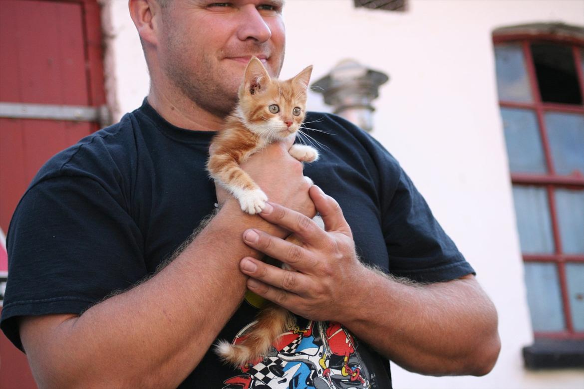 Huskat Rolding billede 6