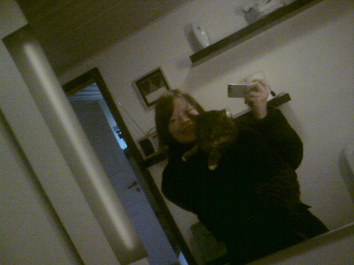 Blanding af racer Tiger billede 13