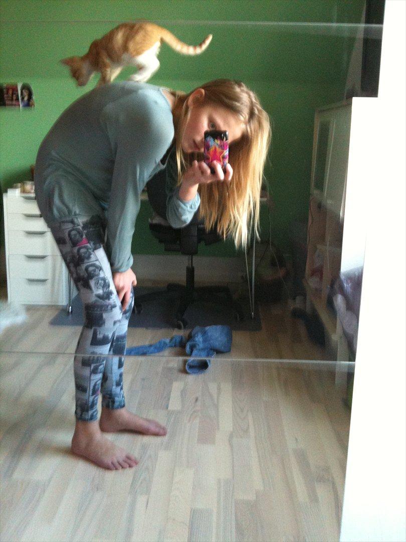 Huskat Pyrus billede 10