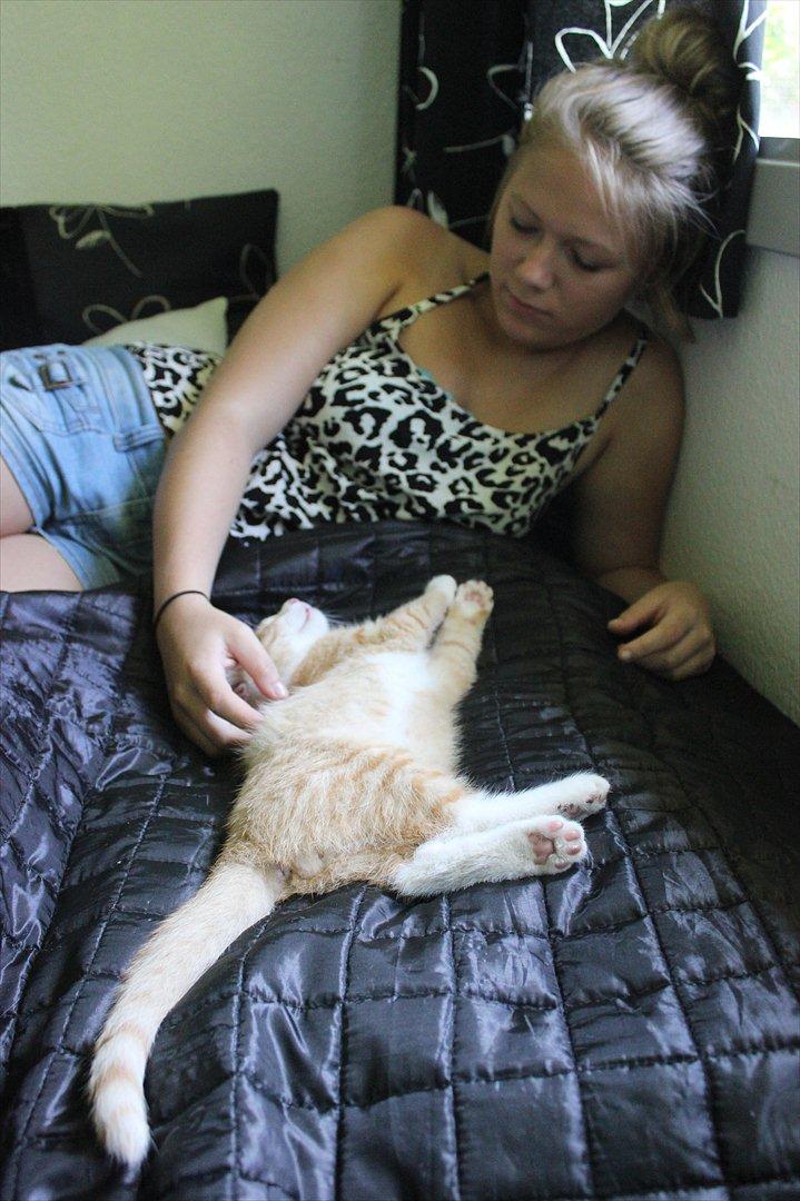 Blanding af racer Anders - Mie og Anders billede 12