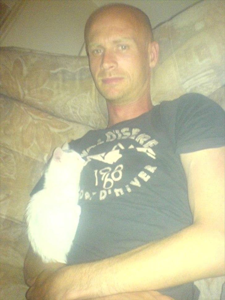 Huskat alba billede 4