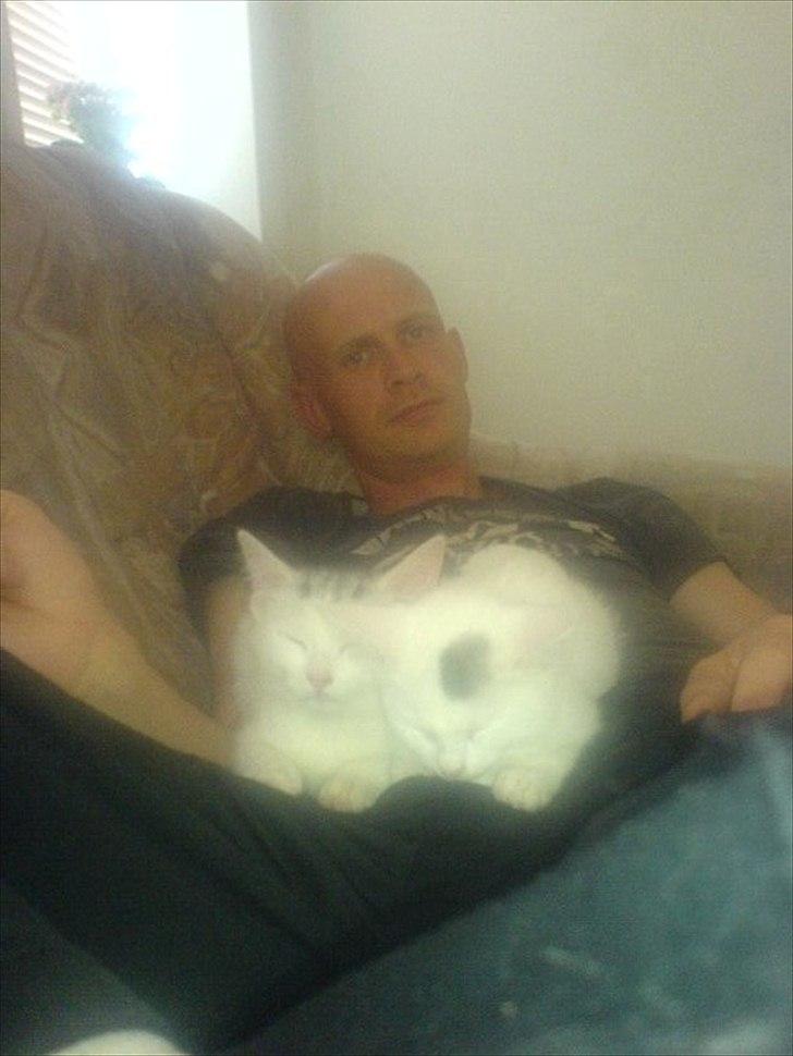 Huskat alba billede 5