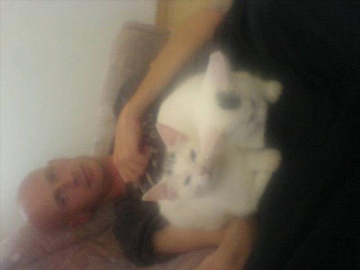 Huskat pjuske billede 9