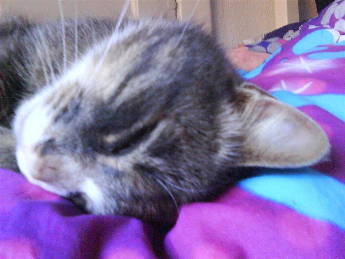 Huskat Monster - Monster er lidt skøre end gag imellem ;p billede 3