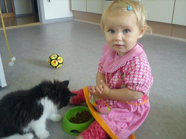 Blanding af racer Hugo - Min datter synes, at det er så sjovt, at fodre Hugo. Heldigvis synes han, at det erlige så sjovt :-) billede 5