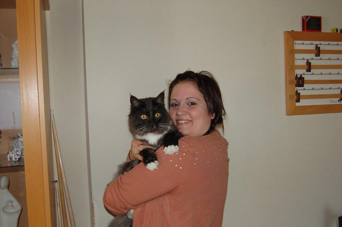 Blanding af racer Tadeus billede 4