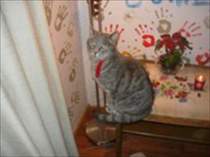 Huskat sigurt <3 (min) billede 1