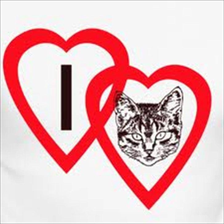 Huskat sigurt <3 (min) billede 5