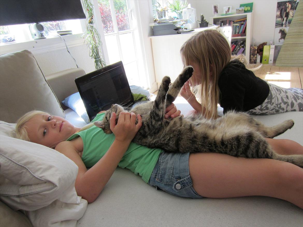 Huskat kika billede 13