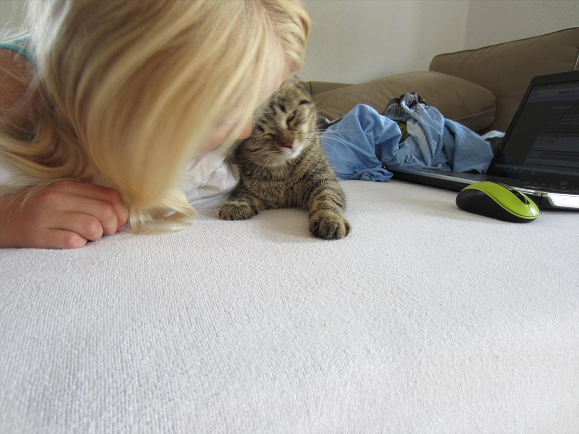 Huskat kika billede 17