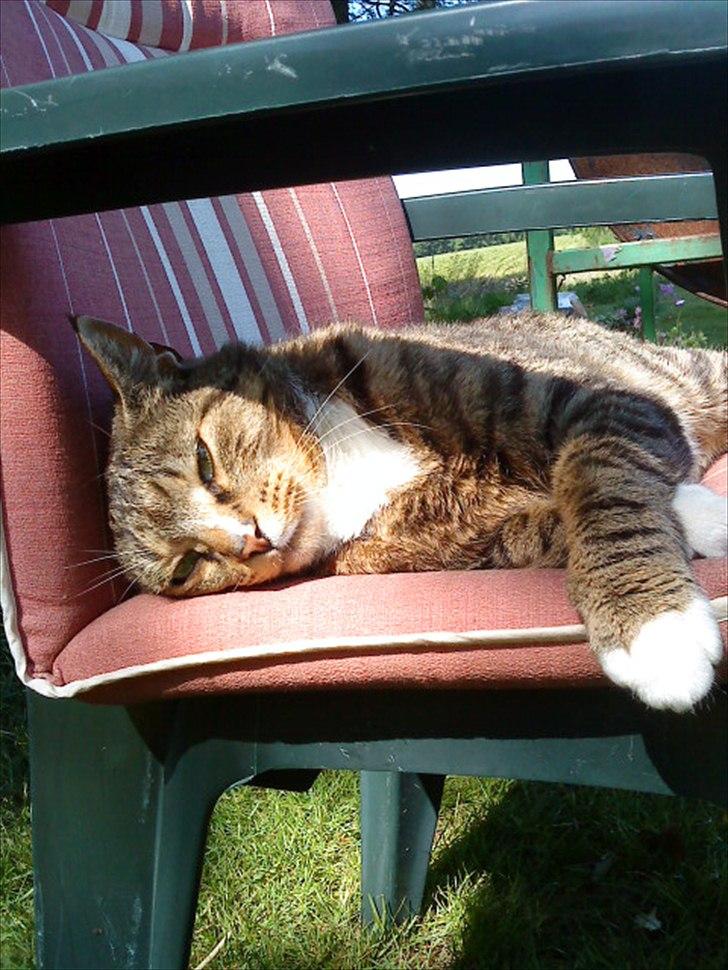 Huskat Oli<3<3 billede 5