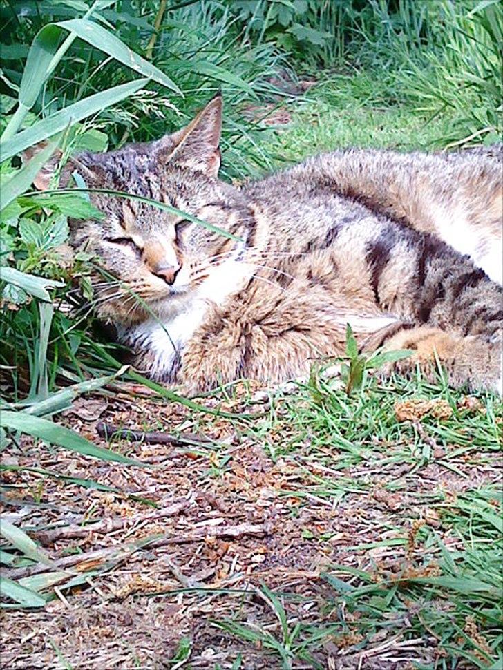 Huskat Oli<3<3 billede 8