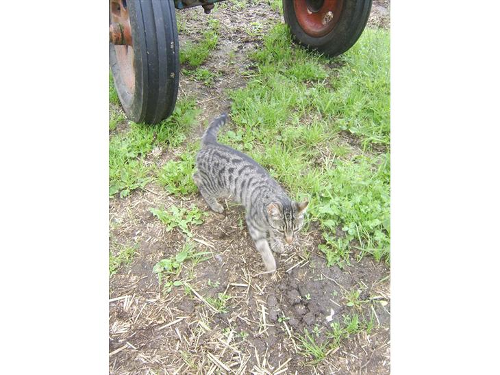 {{currentPhoto.altText}} billede {{currentPhoto.number}}