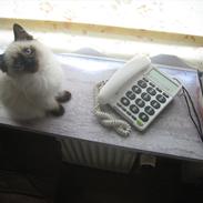 Blanding af racer Otto