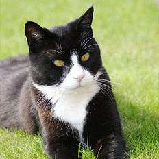 Blanding af racer Jason :D