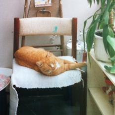 Blanding af racer Mikkel