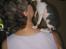 Cornish Rex Rasmus