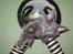 Maine Coon Atcoons Hello Kitty - Vega