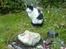 Huskat Sasha - Sasha ved min gamle kat Mittes gravsted. RIP Mitte. <3