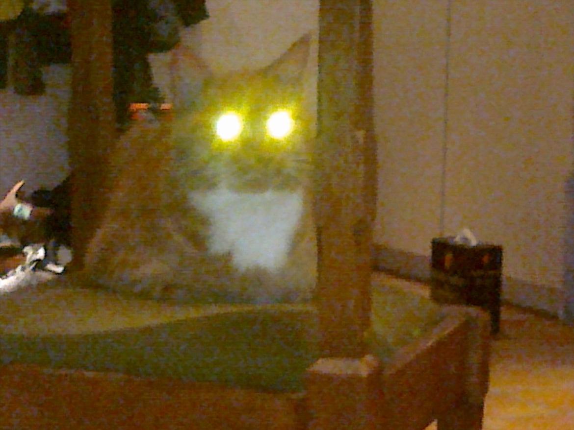 Huskat Mullerbjørn.. {min engel:* - Nutid Datid jeg er et spørgelse foraltid !<3 billede 7