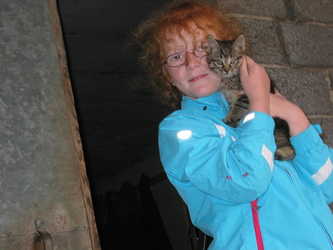 Huskat Koneco billede 14