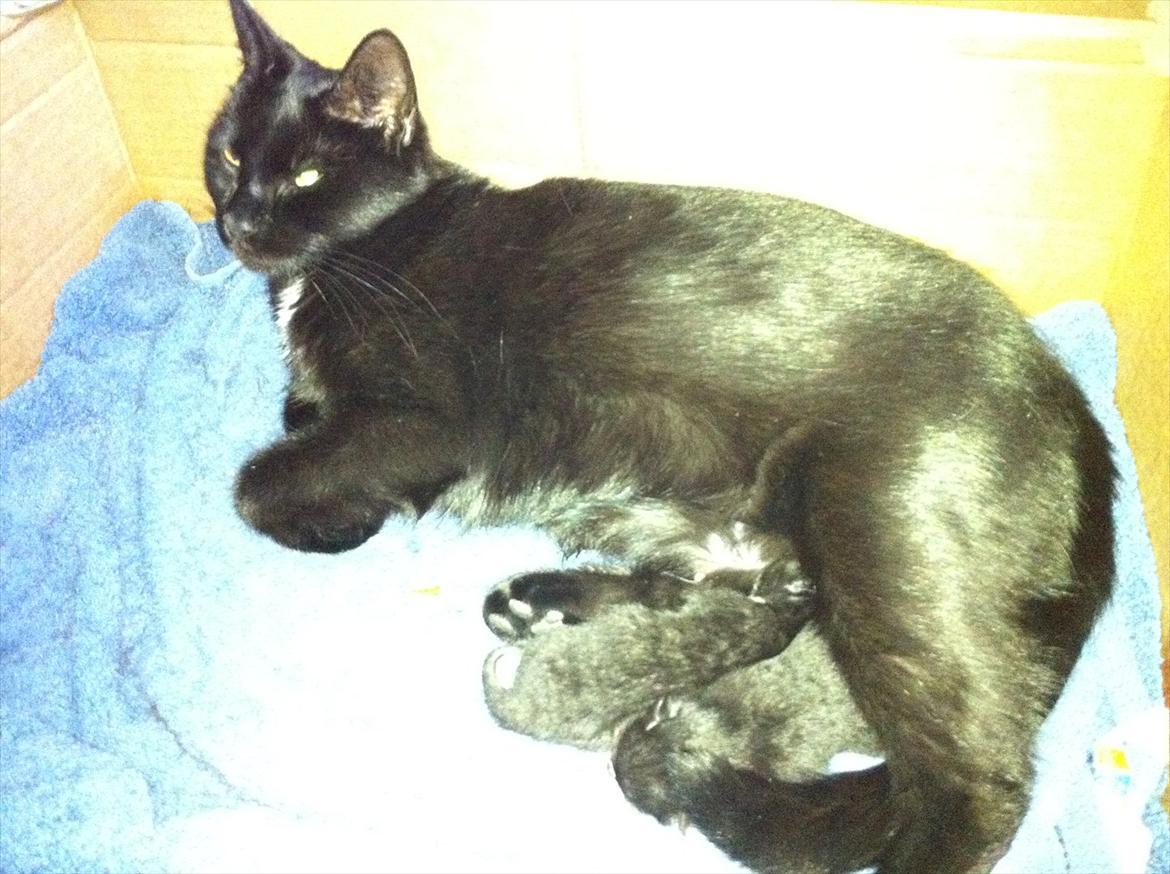 Huskat Buzz - 20. maj 2011
Mig, mine brødre og min mor billede 2