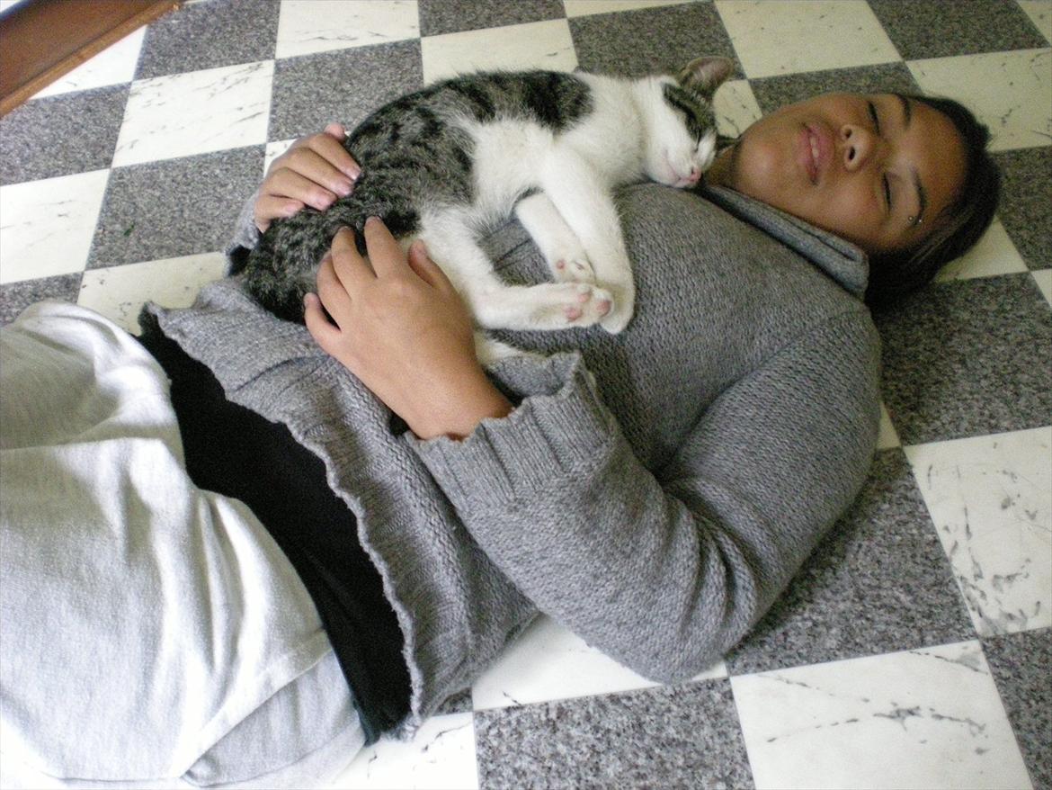 Huskat Simba - Jeg elsker dig Simba<3 Foto: Lena O. billede 4