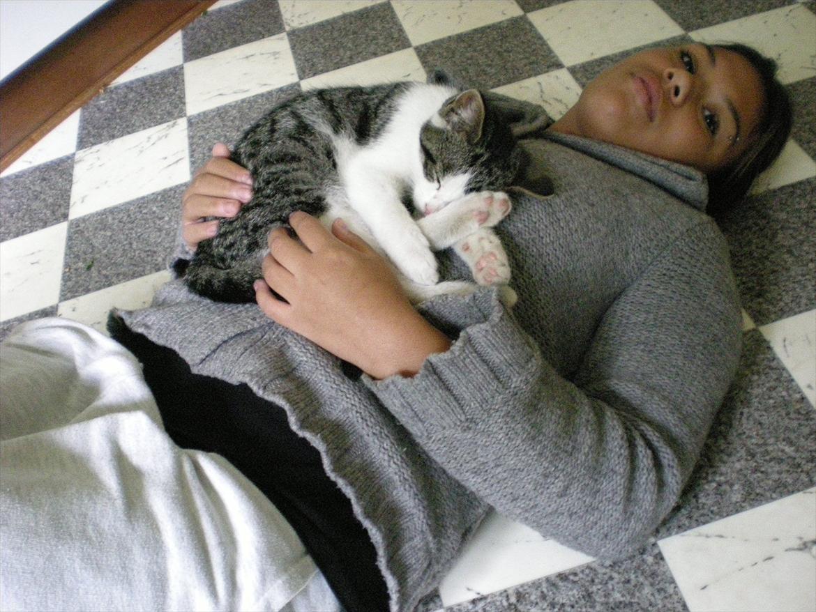 Huskat Simba - Hygger i; <3 Foto: Lena O. billede 6