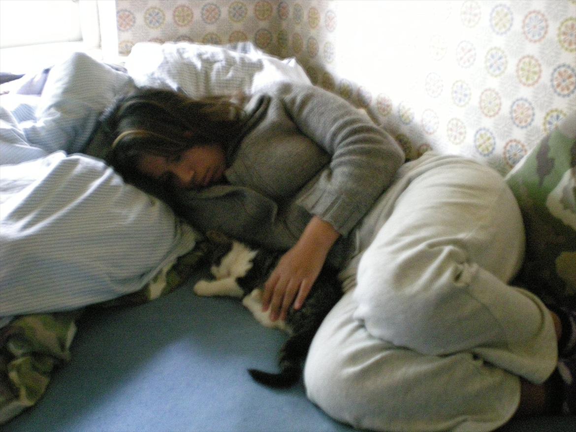 Huskat Simba - ZzzZzz.. Foto: Jonas Sørensen. billede 11