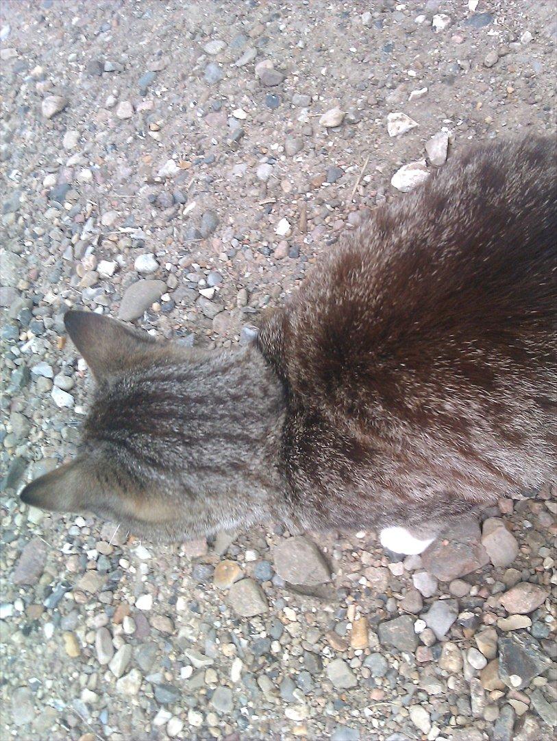 Huskat Unavngivet billede 7