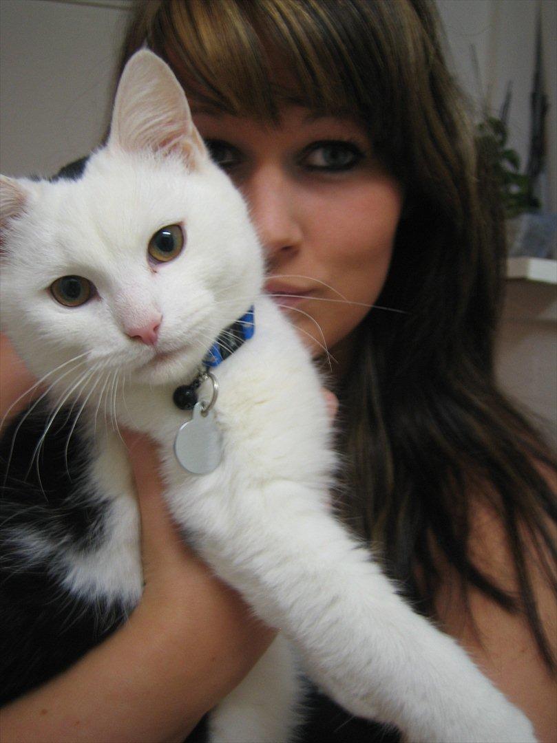 Blanding af racer Mikko billede 4