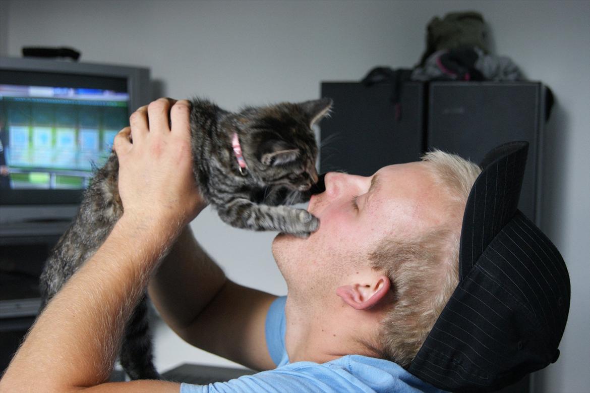 Blanding af racer Pucca - Søde Pucca gir en møsser:* billede 11