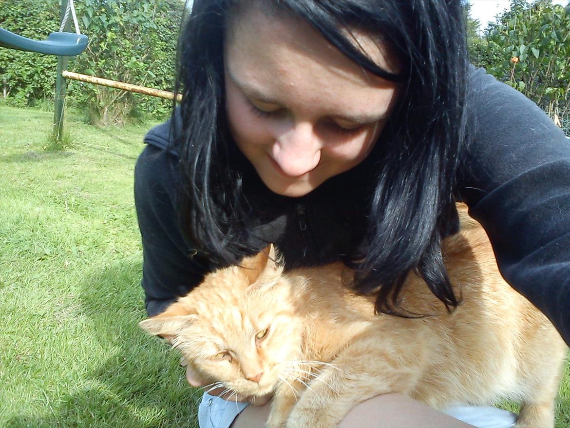 Huskat Garfield billede 11