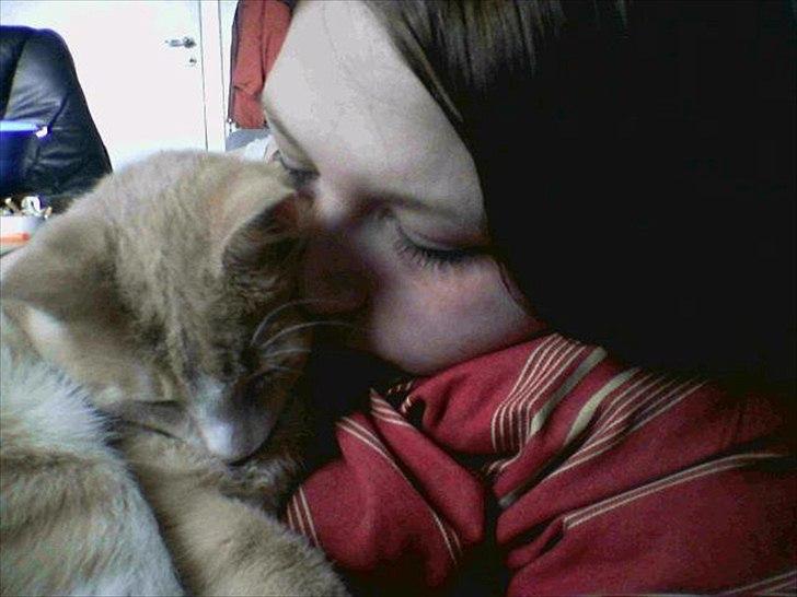 Huskat Joey - Vi elsker at putte! billede 1