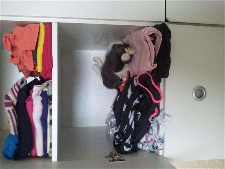 Huskat Tumle - Hmm... Hvad skal jeg dog tagepå? JO, Hvad med en Tumle! ;D billede 4