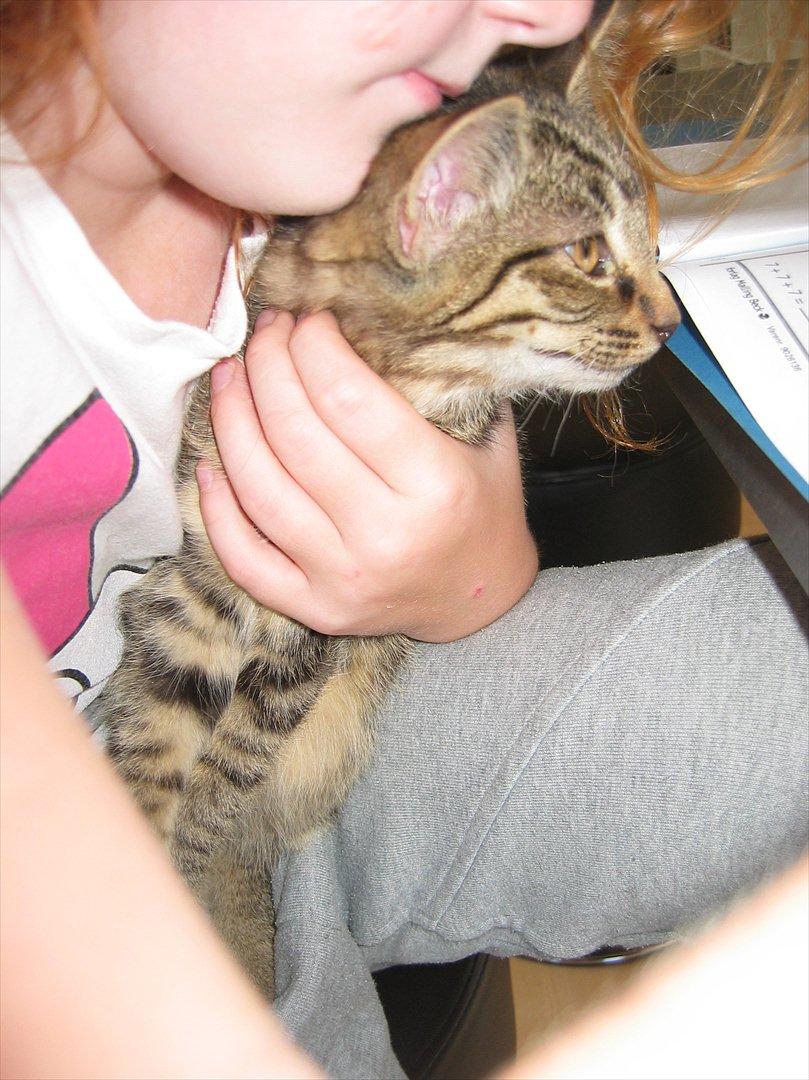 Huskat Koneco billede 17