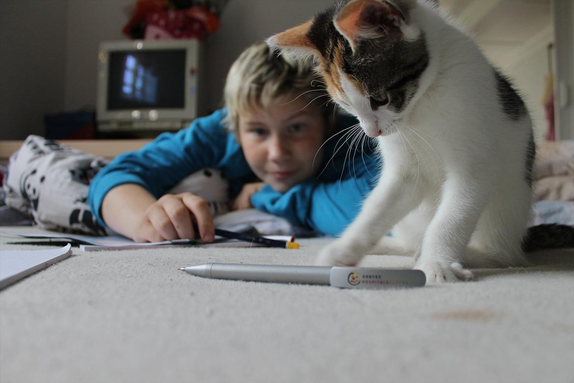 Huskat Darling - # 12
Darling leger med min blyand (-: billede 12