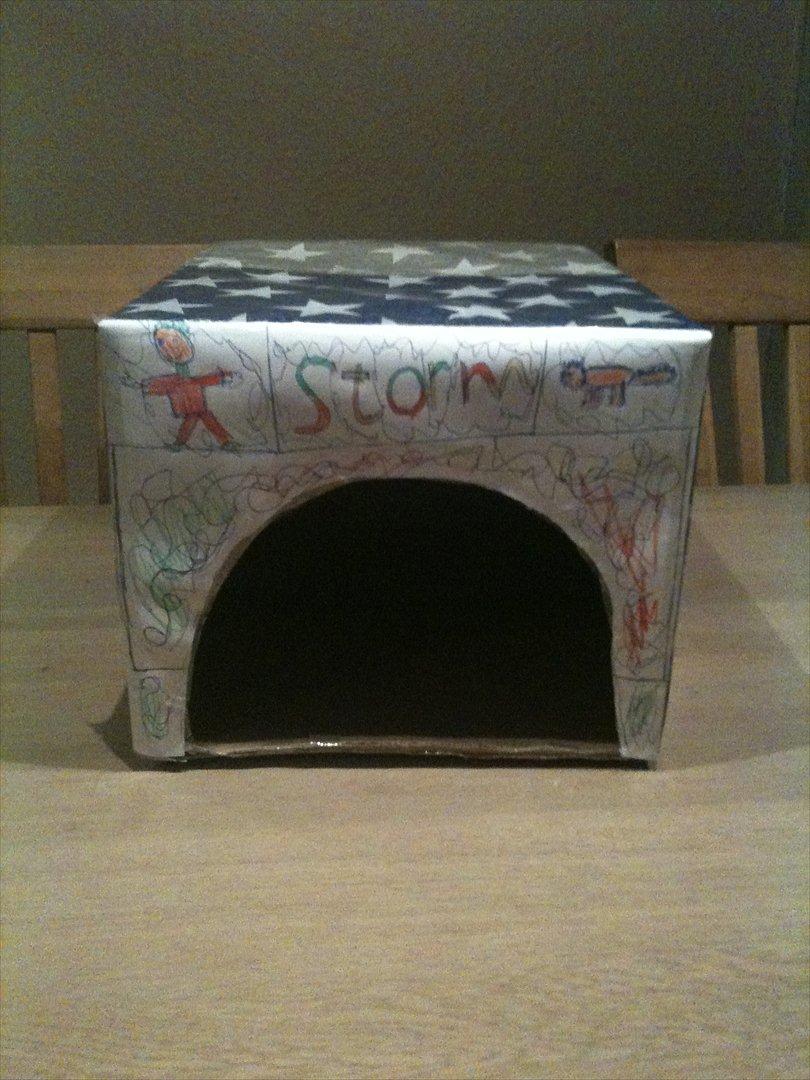 Norsk Skovkat Storm - Der gik lige Jørgen Clevin i min søn, Storm skulle da have en lille hule :0) billede 9