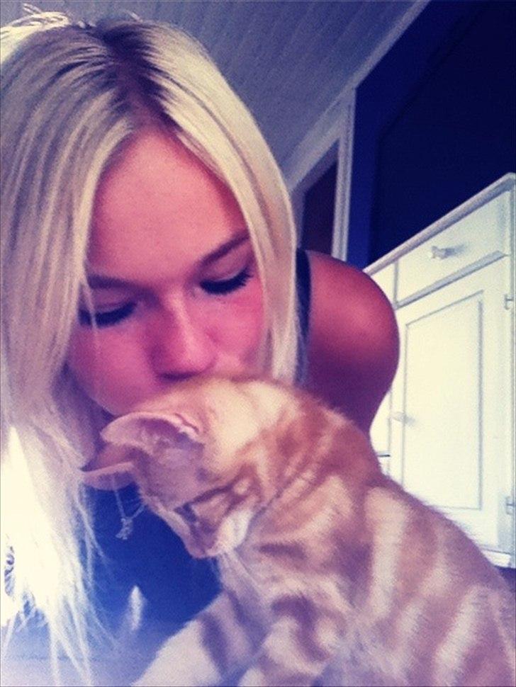 Huskat Milo - Mors prins <3 billede 12