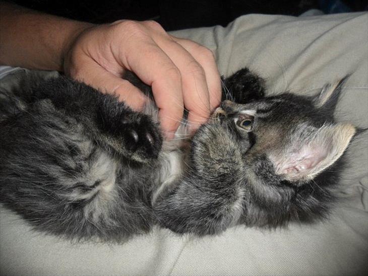 {{currentPhoto.altText}} billede {{currentPhoto.number}}