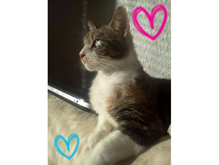 {{currentPhoto.altText}} billede {{currentPhoto.number}}