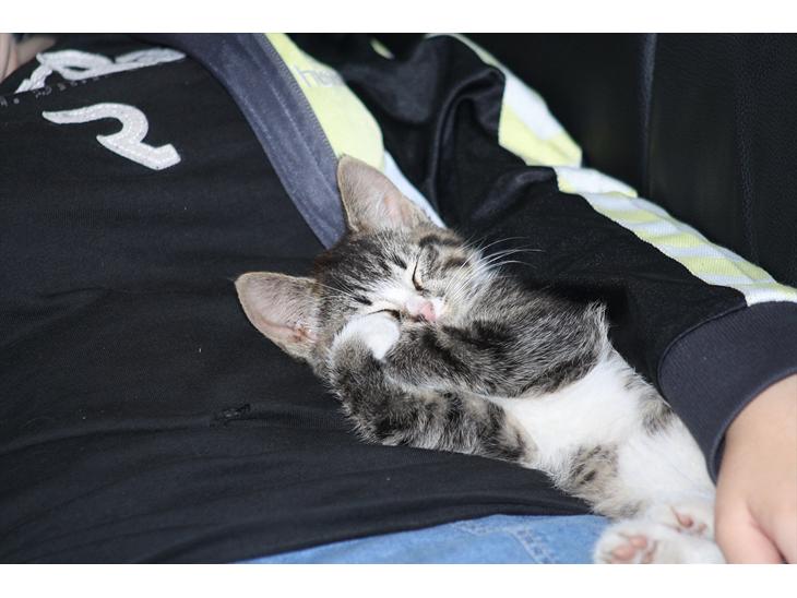 {{currentPhoto.altText}} billede {{currentPhoto.number}}