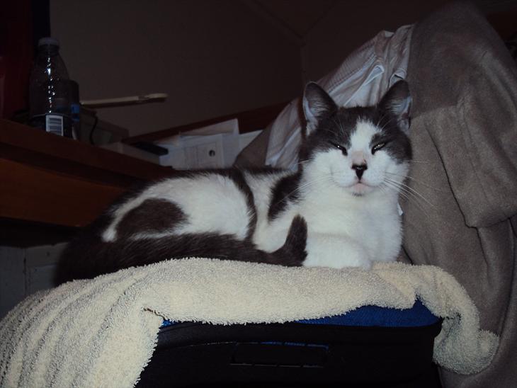 {{currentPhoto.altText}} billede {{currentPhoto.number}}