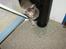 Maine Coon Mr Blue P.( Polle)