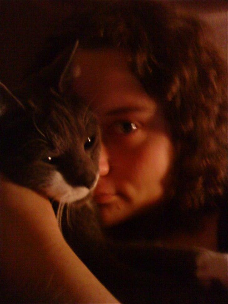 Blanding af racer Davin billede 8