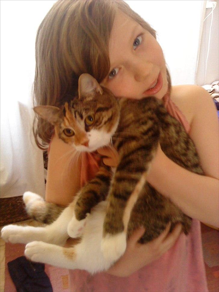 Blanding af racer Dina billede 9