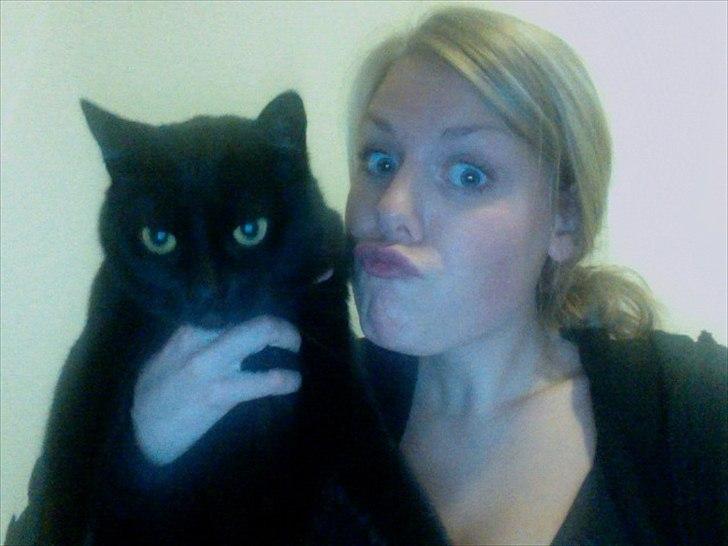 Huskat Pelle - Himmelkat - Pelsen og jeg <3 jeg elsker min kat!! billede 19