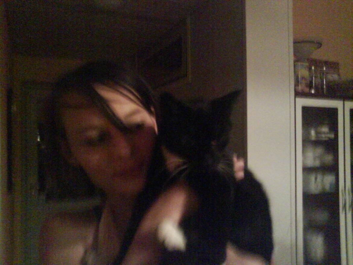 Huskat Mille - Min egen lille Millemus. billede 6