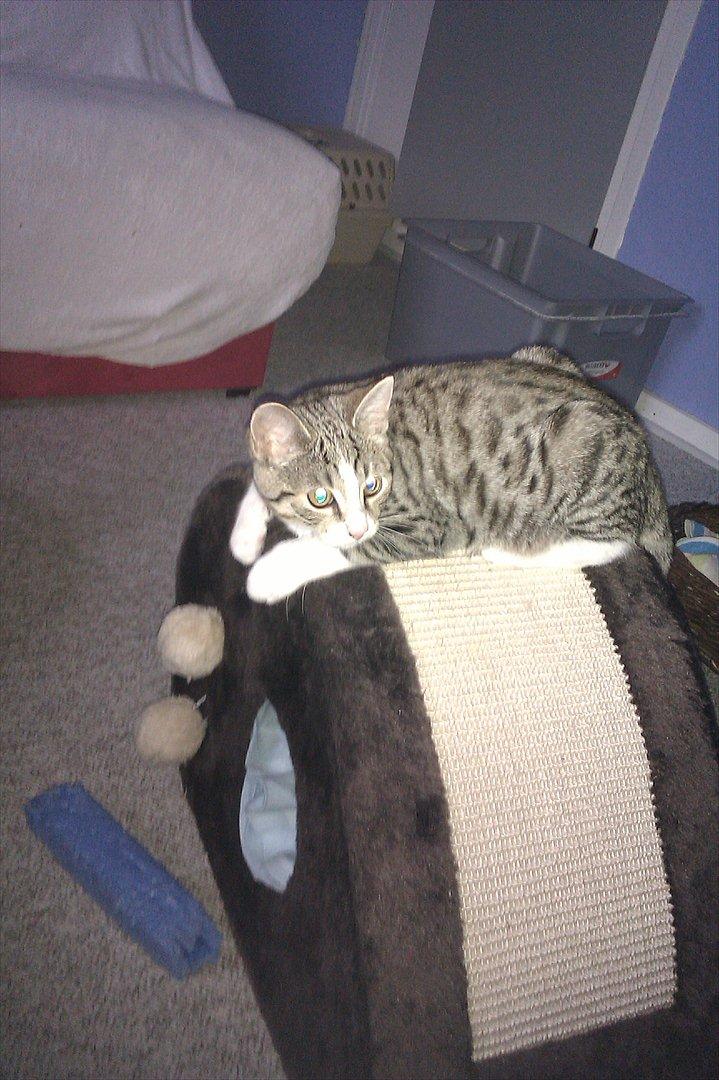 Blanding af racer Mio - Jeg trænger lige til en lille pause billede 1