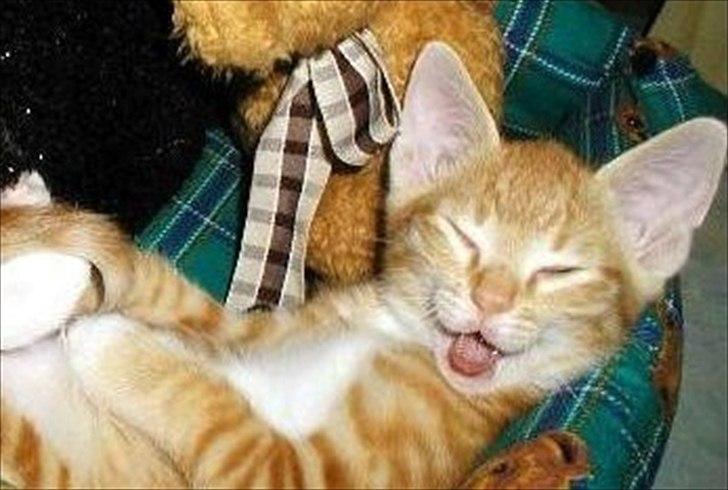 Blanding af racer Mikkel - Mors frække teenager taget på fersk gerning i naboens udhus....  billede 20